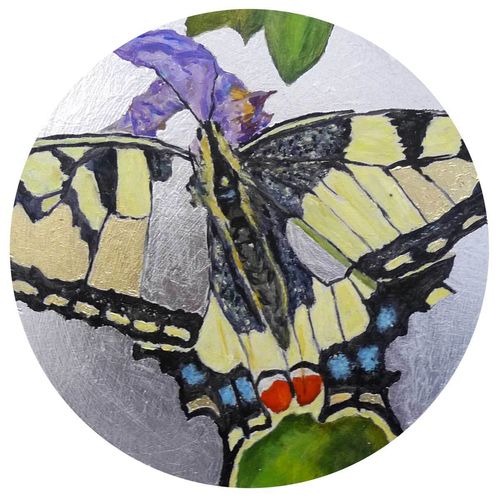Dirk Klose, Shattered butterfly: Schwalbenschwanz